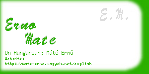 erno mate business card